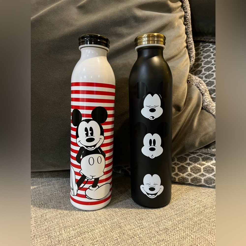 Target x Disney Mickey Stainless Steel Water Bottles (2)